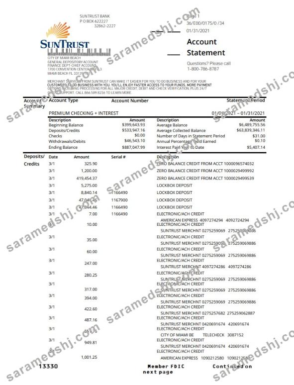 USA SunTrust bank proof of address statement template in .xls and .pdf format